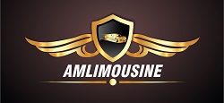 AM Limousine786 Logo
